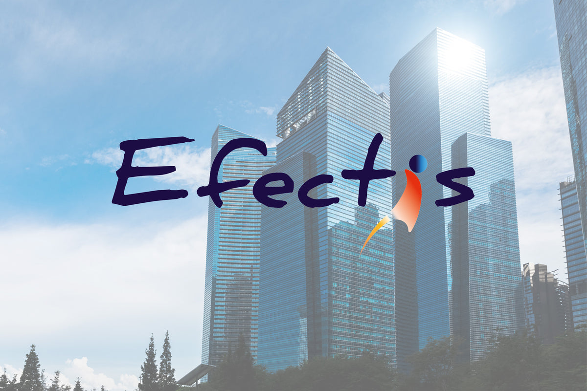 Effectis Partners | Klasse: A Safer Future